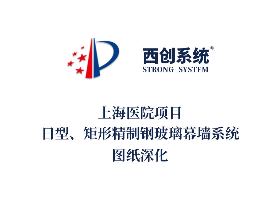 上海醫(yī)院項目日型、矩形精制鋼玻璃幕墻系統(tǒng)圖紙深化 - 西