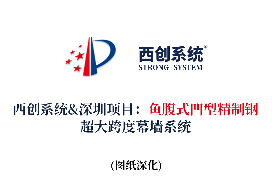 西創(chuàng)系統(tǒng)&深圳項(xiàng)目：魚腹式凹型精制鋼超大跨度幕墻系統(tǒng)圖紙深化(圖2)